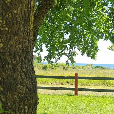 Feriehus Bord De I Querci Poggio Mezzana