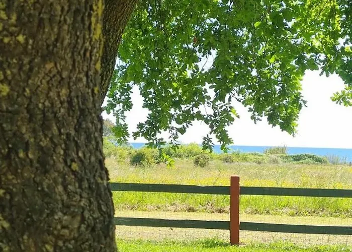 Tatil Evi Bord De I Querci Poggio Mezzana
