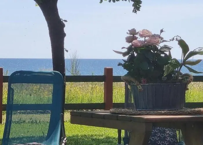 Bord De I Querci * Poggio Mezzana