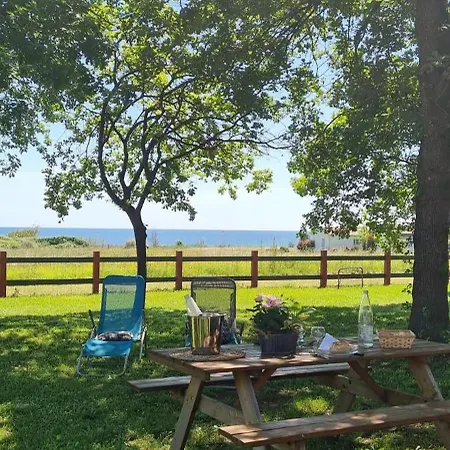 Bord De I Querci * Poggio Mezzana