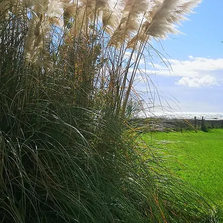 Bord De I Querci * Поджо-Меццана