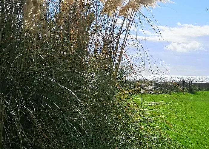 Bord De I Querci * Поджо-Меццана